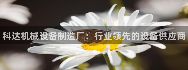 九游会平台