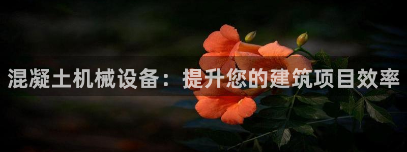 J9九游会强势登录