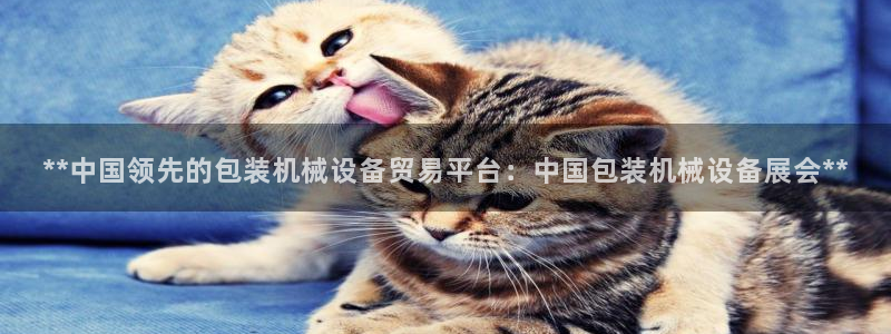 j9九游会游戏
