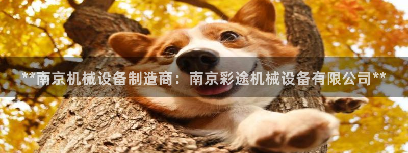 j9官网豪华游