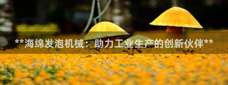 j9九游会不出款