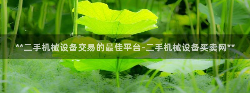 九游会是ag吗