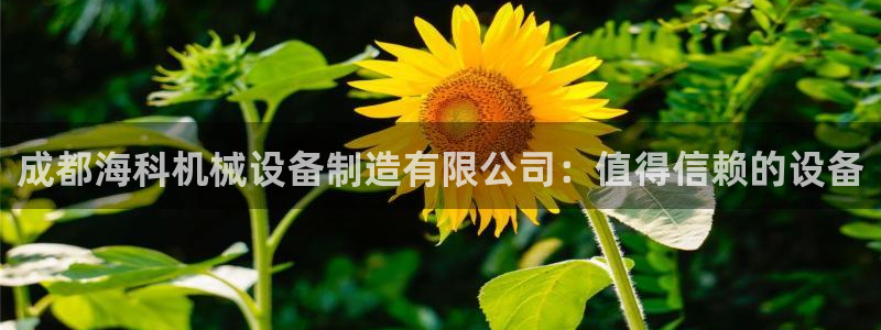 j9九游会安卓版下载