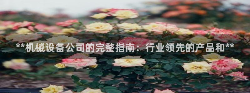 九游会官网ag