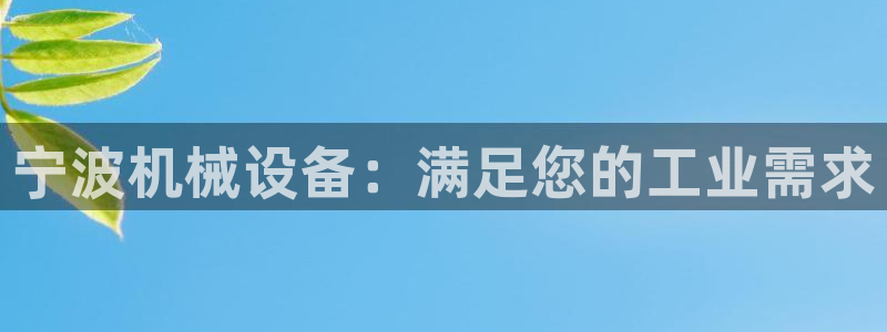 J9九游会老网站