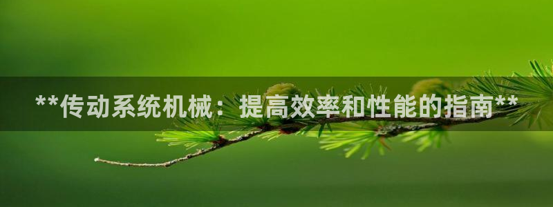 j9九游会官方网站国际怎么样