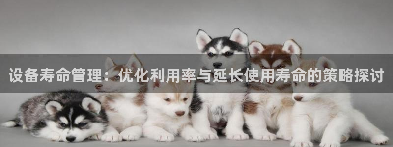 九游会平台网站：设备
