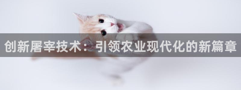 九游会手机版登录