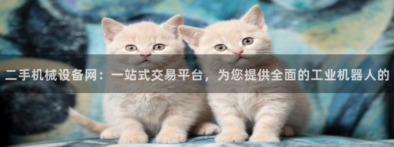 j9九游会中国：二手