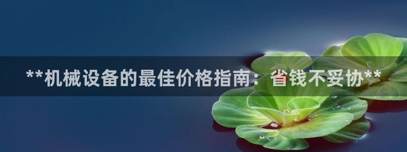 九游官网j9活动介绍