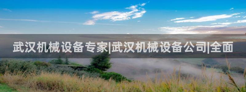 九游会的网址是多少