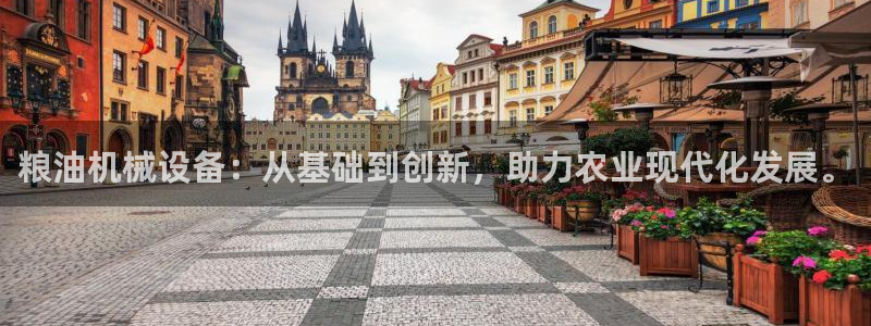 九游会官网真人